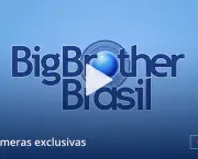 Globo BBB 17 (7)