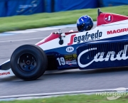Damon Hill Senna (9)