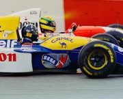 Damon Hill Senna (11)