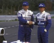 Damon Hill Senna (13)