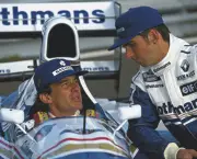 Damon Hill Senna (19)