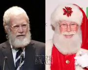 David Letterman O Apresentador de Late Show (18)