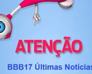 Globo BBB 17 (5)