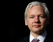 nomura-wikileaks-founder-julian-assange-might-win-a-seat-in-next-months-australian-election1_0
